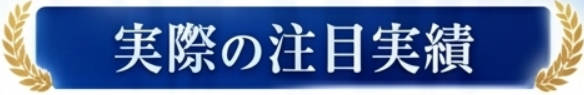 実際の注目実績